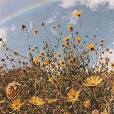 2023澳门管家婆资料正版大全下载手机版