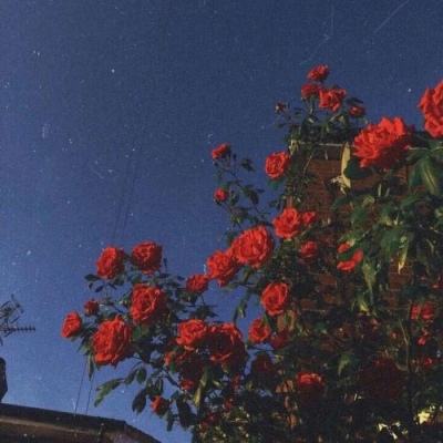 hth·华体育APP手机app下载